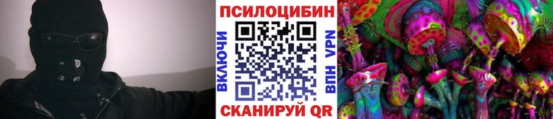 kraken онион  Апшеронск  Галлюциногенные грибы прущие грибы  как найти закладки 