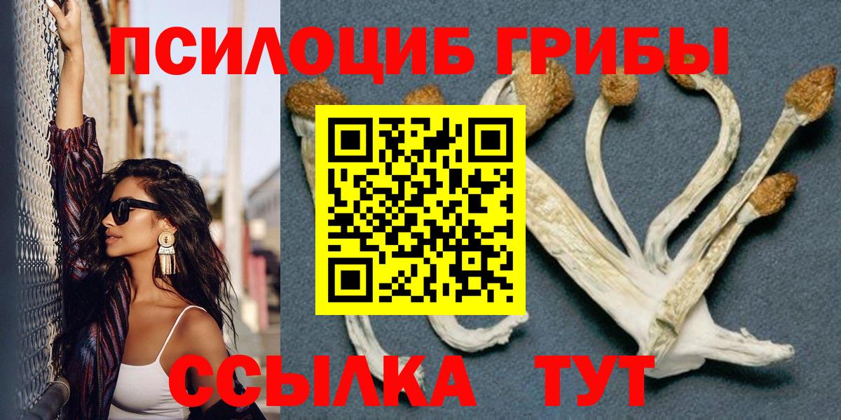 Псилоцибиновые грибы мухоморы  Апшеронск  Галлюциногенные грибы GOLDEN TEACHER 