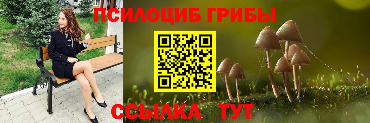 Галлюциногенные грибы Magic Shrooms Апшеронск