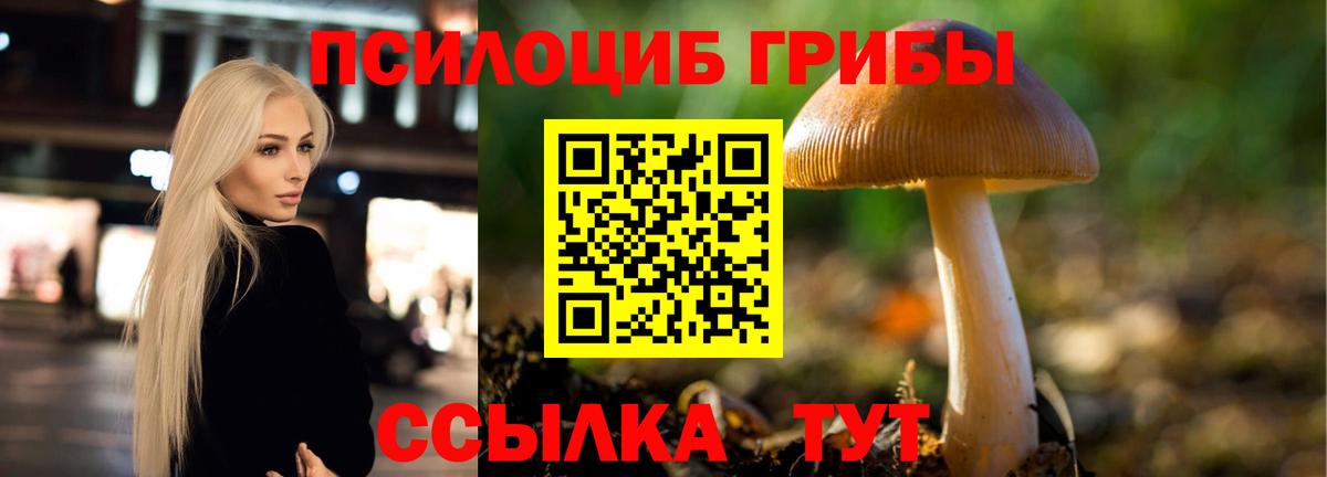 Апшеронск  Галлюциногенные грибы ЛСД  Вход с VPN 